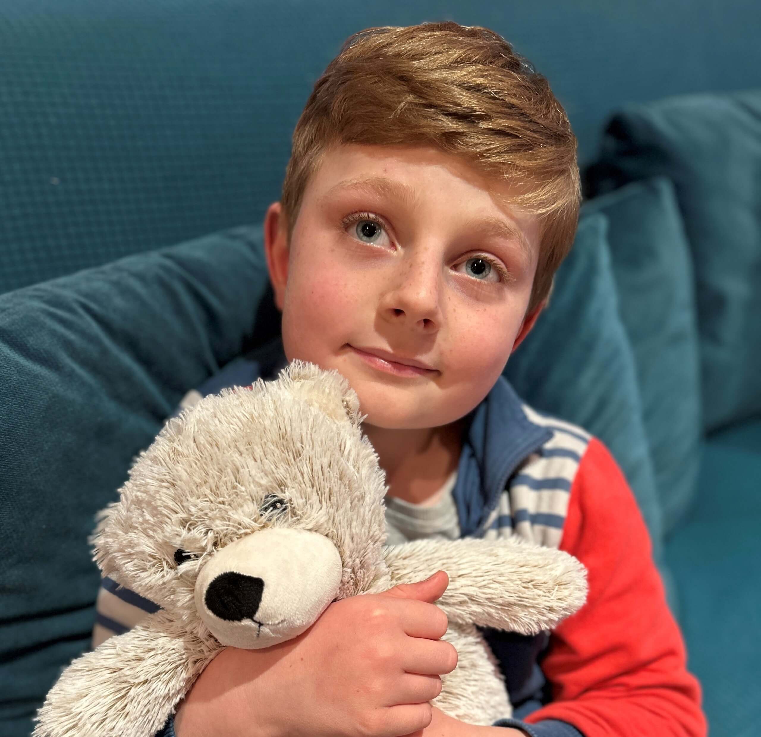 small boy with cuddly ted